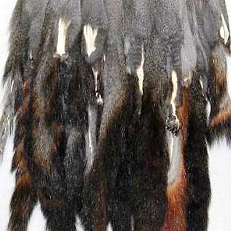 ШКУРКИ БЕЛКИ