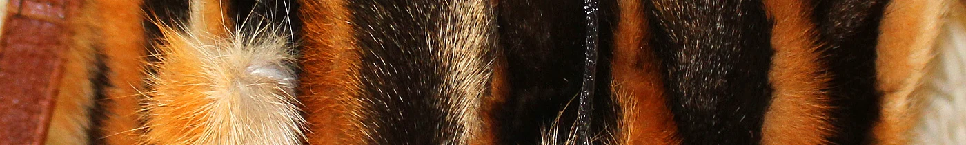 a0a1f0e2-5ac4-49ea-8afb-08052a364749-katalog_simki.jpg